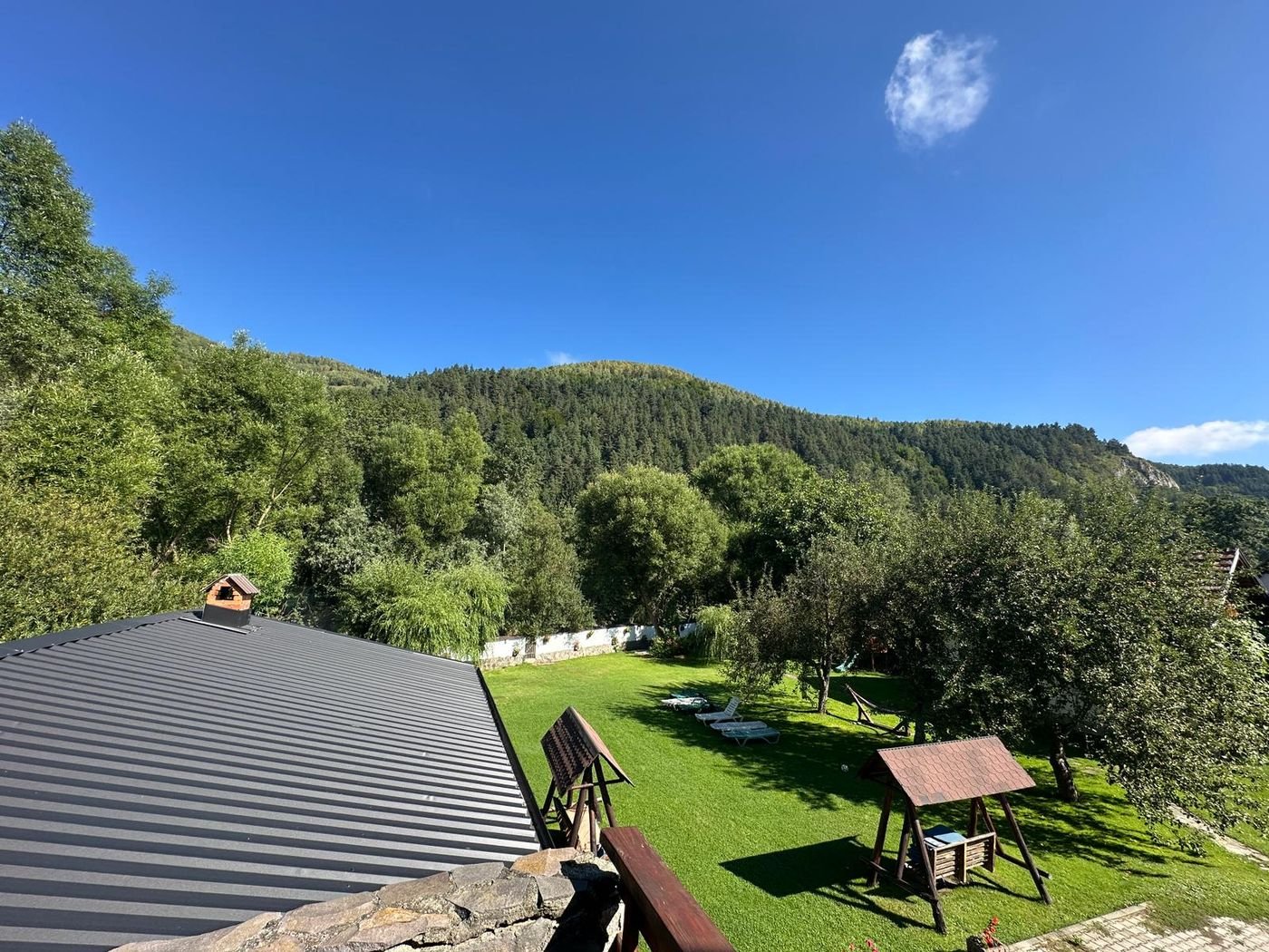 Priveliștea spre pădure de pe terasa camerei